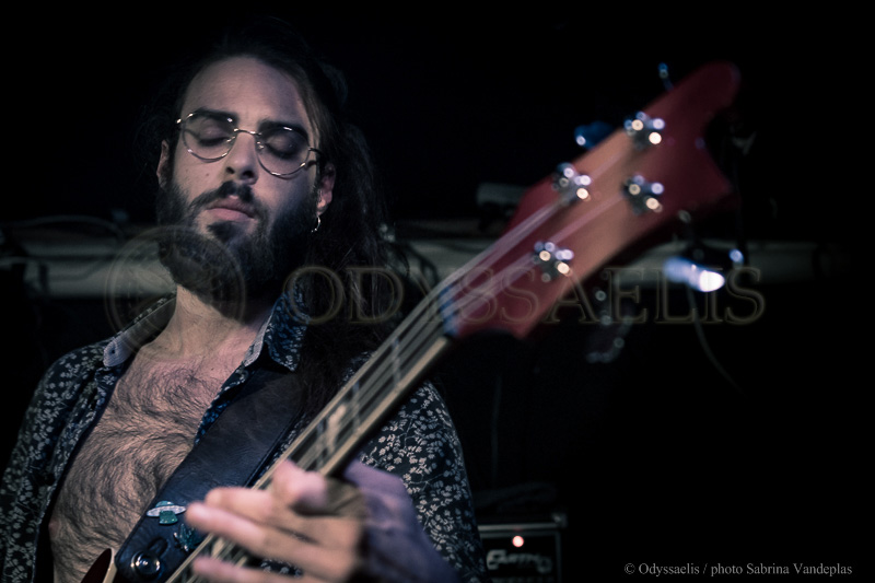 gros plan du bassiste du groupe Djinn