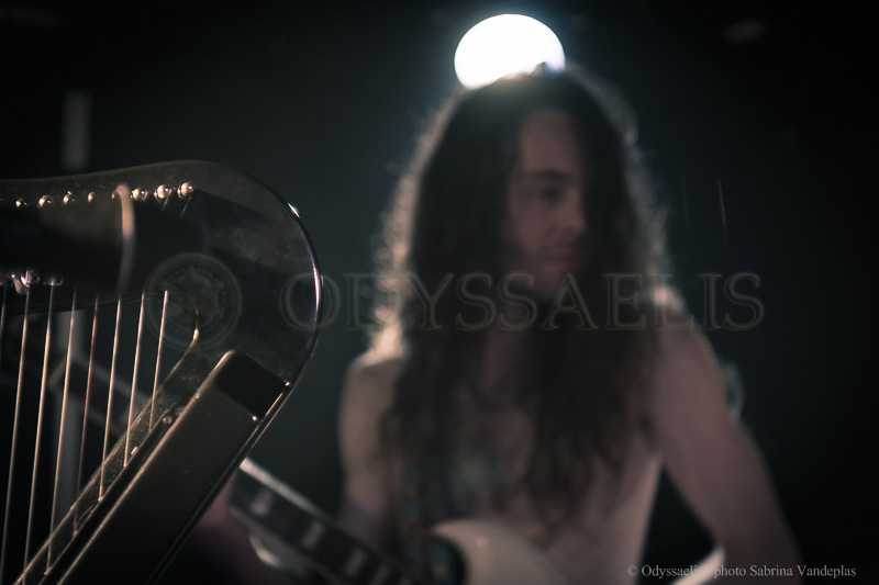 guitariste du groupe Djinn flou en arrière-plan avec coude de la harpe nette en avant-plan